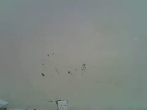 Rasta_tattooed webcam