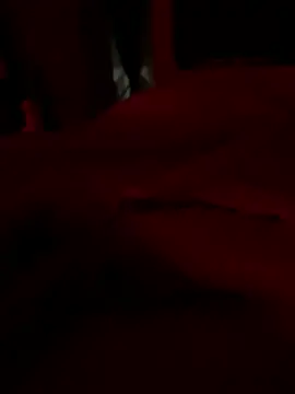 shark822 webcam