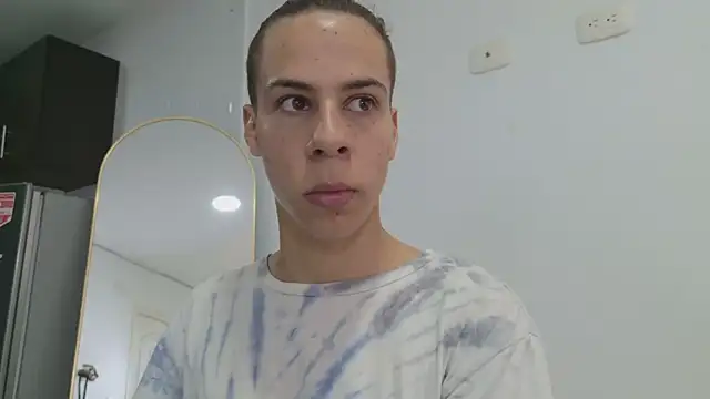 grey___27 webcam
