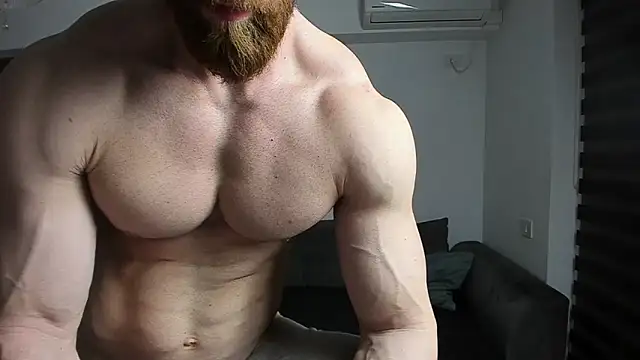 ZkkBlitz webcam