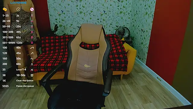 MiraBoom webcam