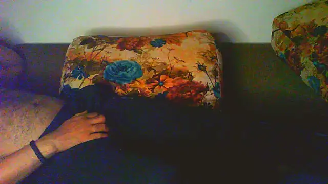 Vbestshow webcam