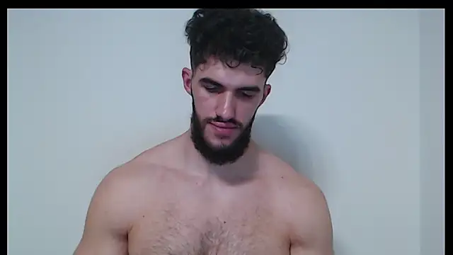 hiddenf webcam