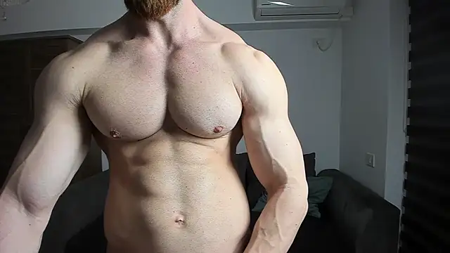 ZkkBlitz webcam