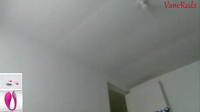 vanered2 webcam