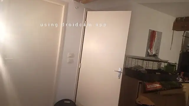 Preview of mastersanges