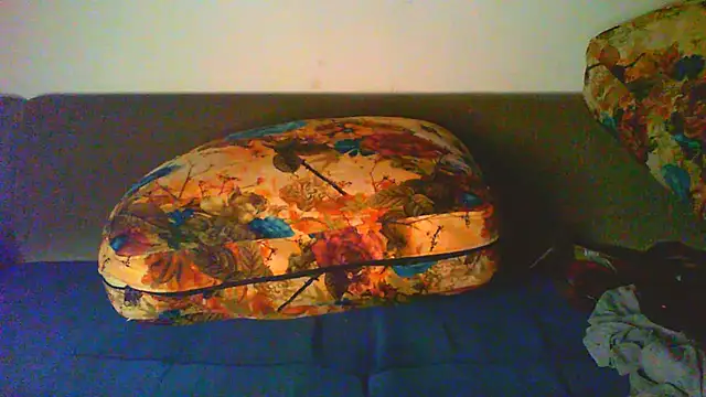 Vbestshow webcam