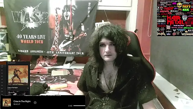 Rocker_Assassin_WASP_FAN webcam