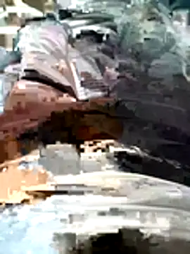 OnguardAudubon webcam