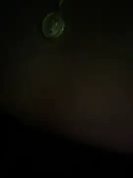 Lilybeeth webcam