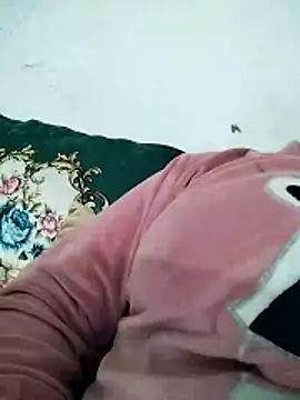 Sakora-34 webcam