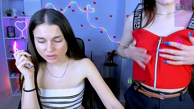 sara_musee webcam