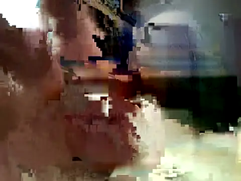 AlrightHandler830 webcam