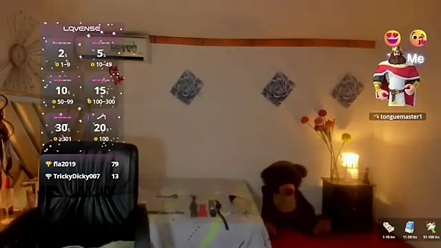 Miagrace webcam