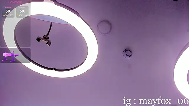 May_Fox_ webcam