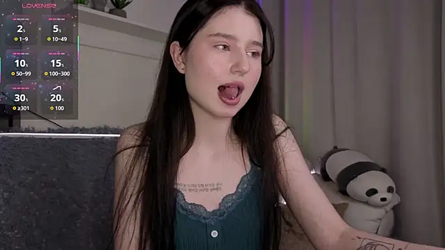 _Lua__ webcam