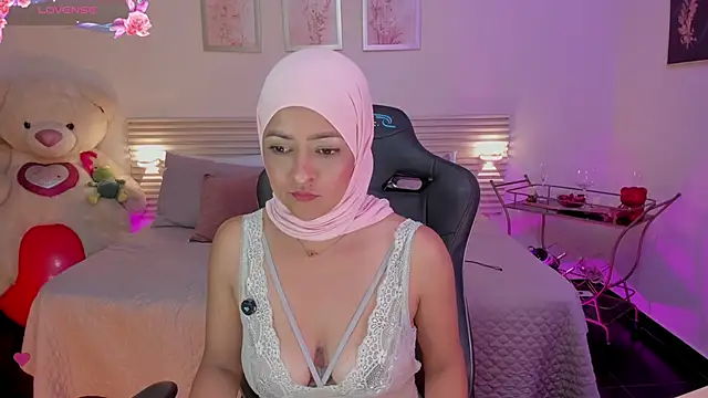 New_Arab_Kingdom webcam