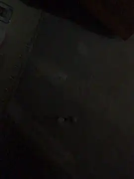 ChantalXOrchid webcam