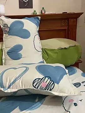LiLi-Kirix99 webcam