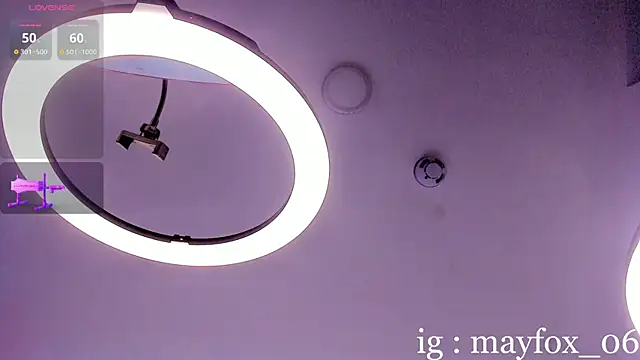 May_Fox_ webcam