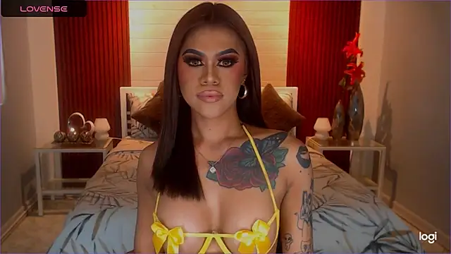 StellaStrong30 webcam