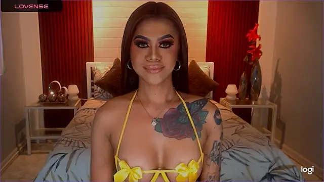 StellaStrong30 webcam