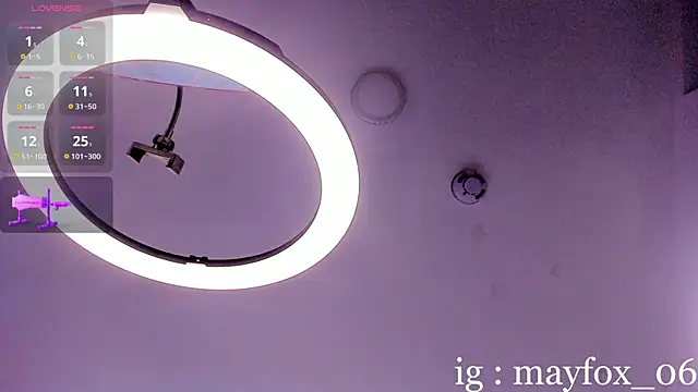 May_Fox_ webcam