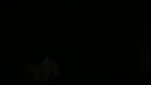 blackhorseet Live Webcam on Stripchat