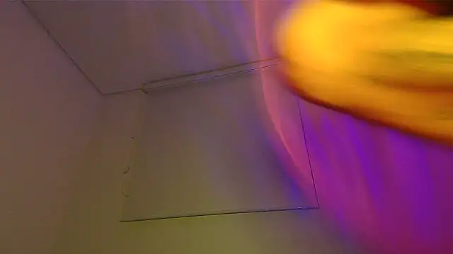 milkoffe webcam