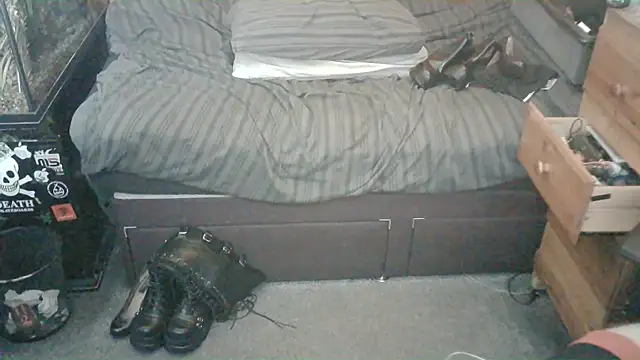 mole800 webcam