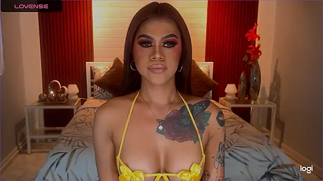 StellaStrong30 webcam