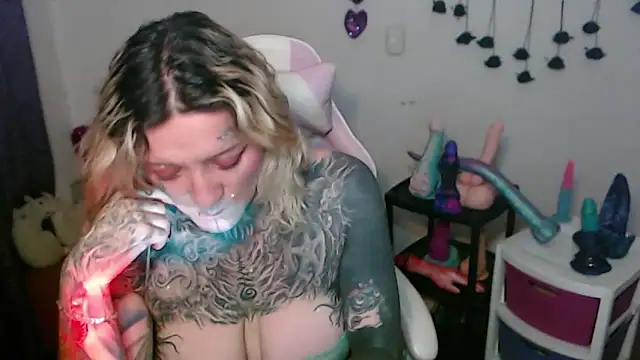 SLOPPYTITSS webcam