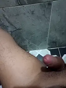 _NAUJ webcam