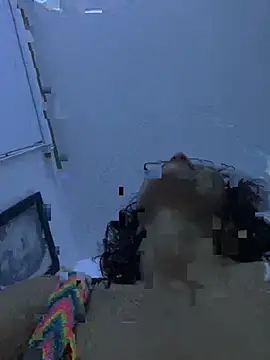 MireyaTorresGu webcam