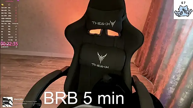 Meowluly webcam