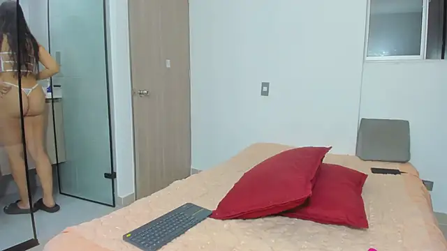 Arimonroee webcam