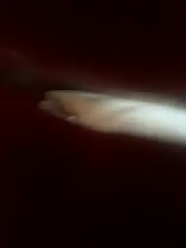 LilMissKaos webcam