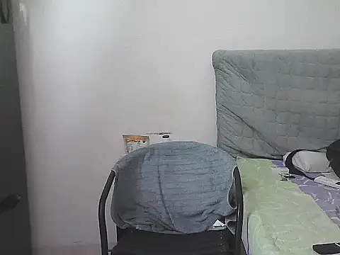 IronSideBear webcam