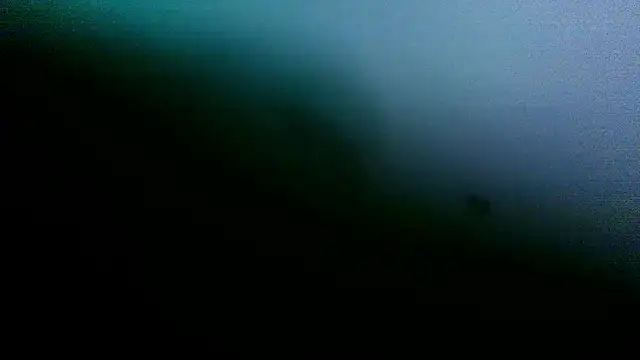 Sicksob webcam