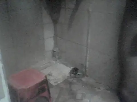 Twoslipperywhenwett webcam