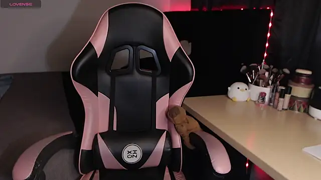 Theprojectsaraa webcam