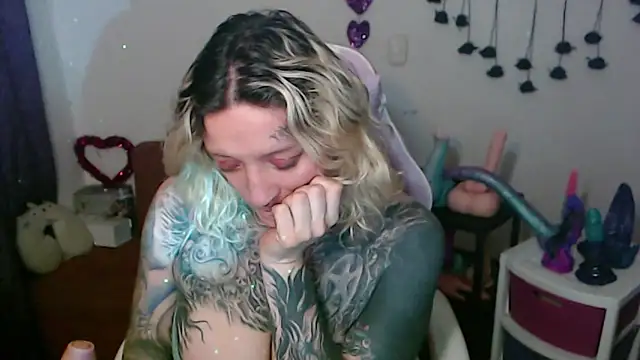 SLOPPYTITSS webcam