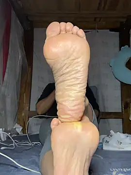 daaqnn webcam
