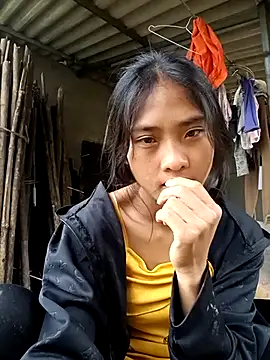 Hoa-tuylip webcam