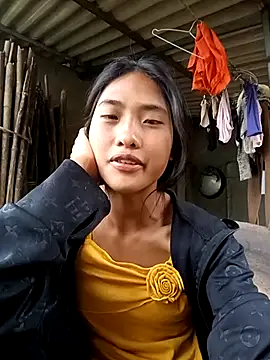 Hoa-tuylip webcam