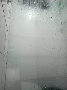Palgr0sso webcam