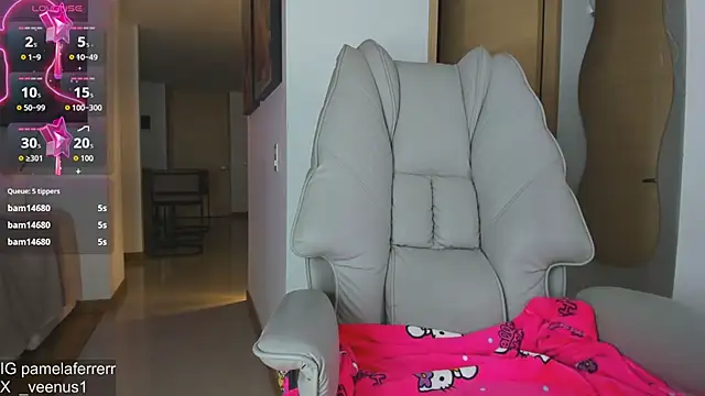 _veenus webcam