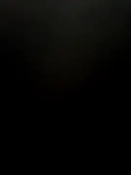 Pitercom webcam