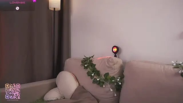 FlairEdgin webcam