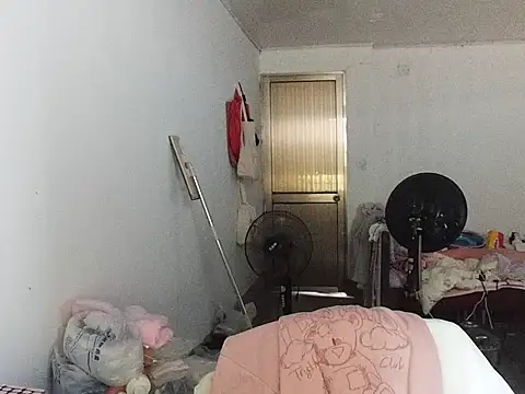 RebelAura webcam